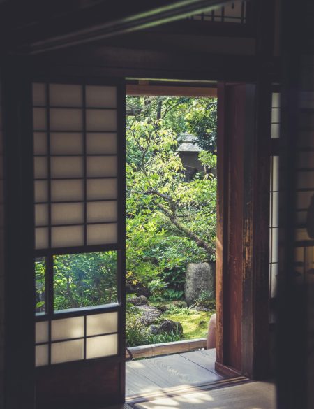 pexels-daniel-trotta-2150268002-31047846